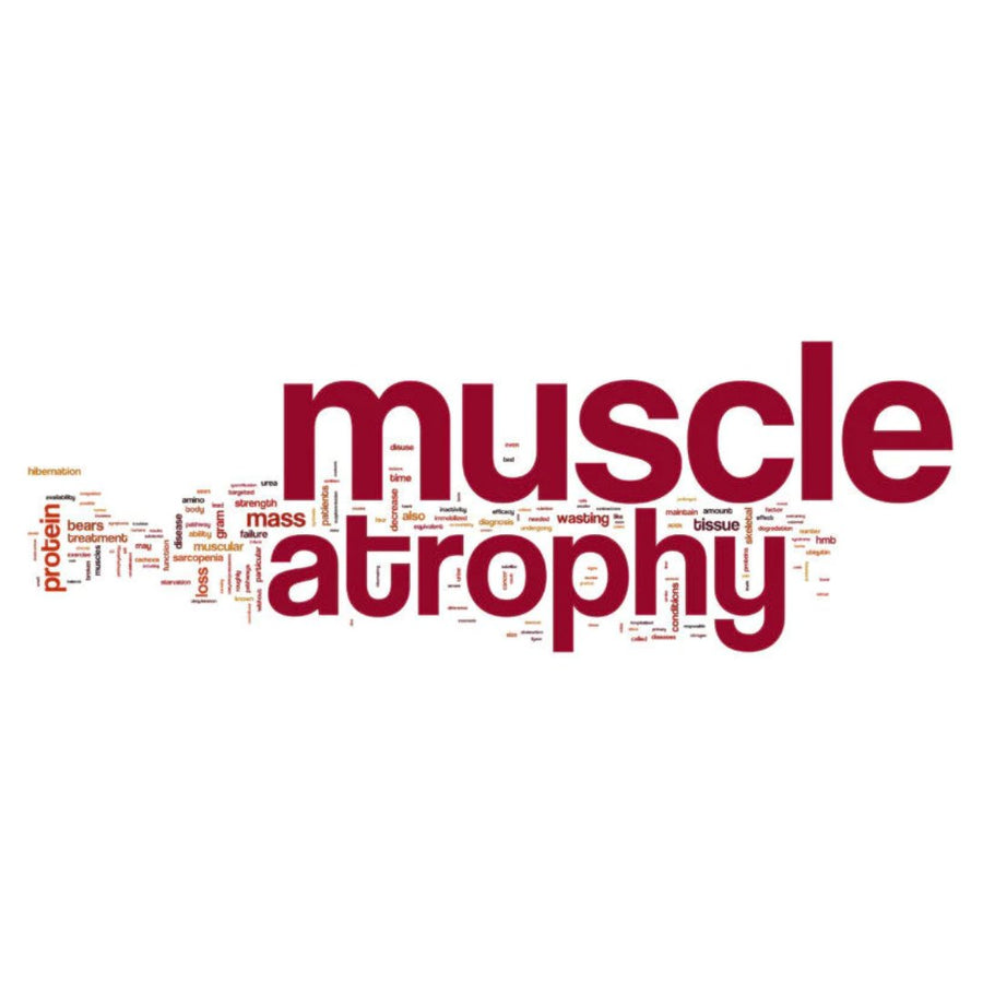 SMA - Spinal Muscular Atrophy