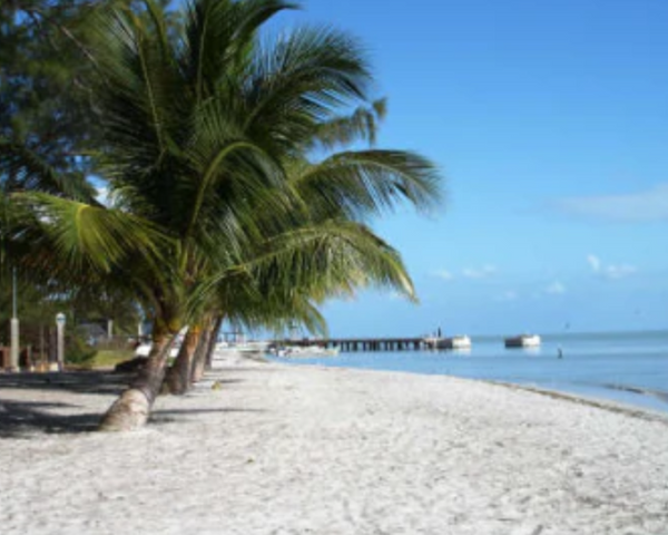 Freedom Shores COMPLETELY Accessible Vacation - Isla Aguada, Campeche, Mexico