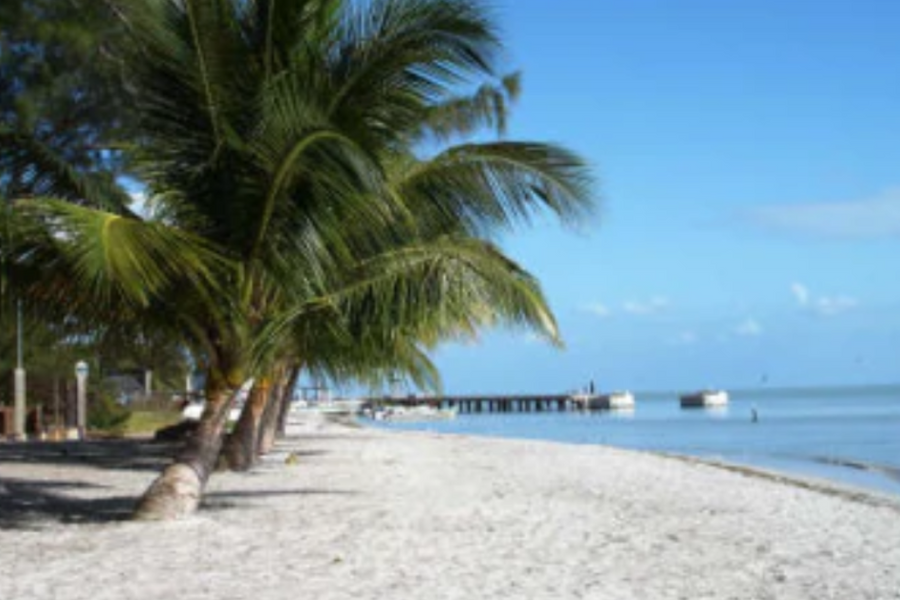 Freedom Shores COMPLETELY Accessible Vacation - Isla Aguada, Campeche, Mexico