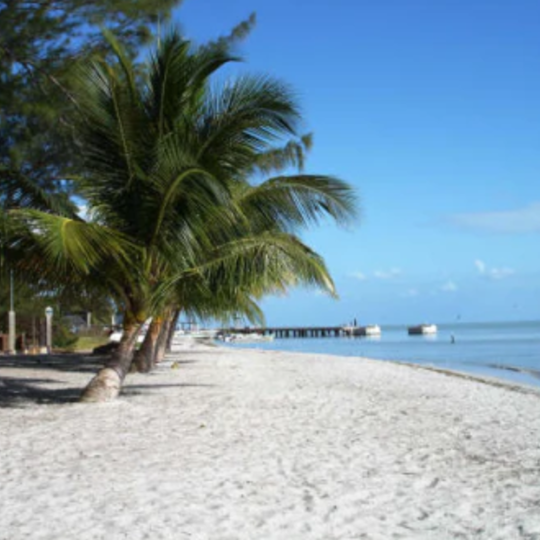 Freedom Shores COMPLETELY Accessible Vacation - Isla Aguada, Campeche, Mexico