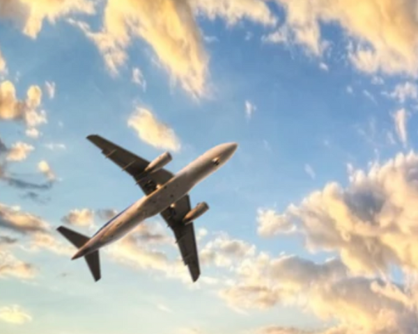 Advocacy Initiative: Air Travel for All