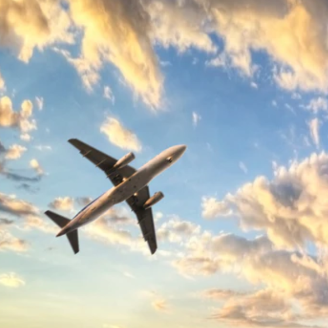 Advocacy Initiative: Air Travel for All