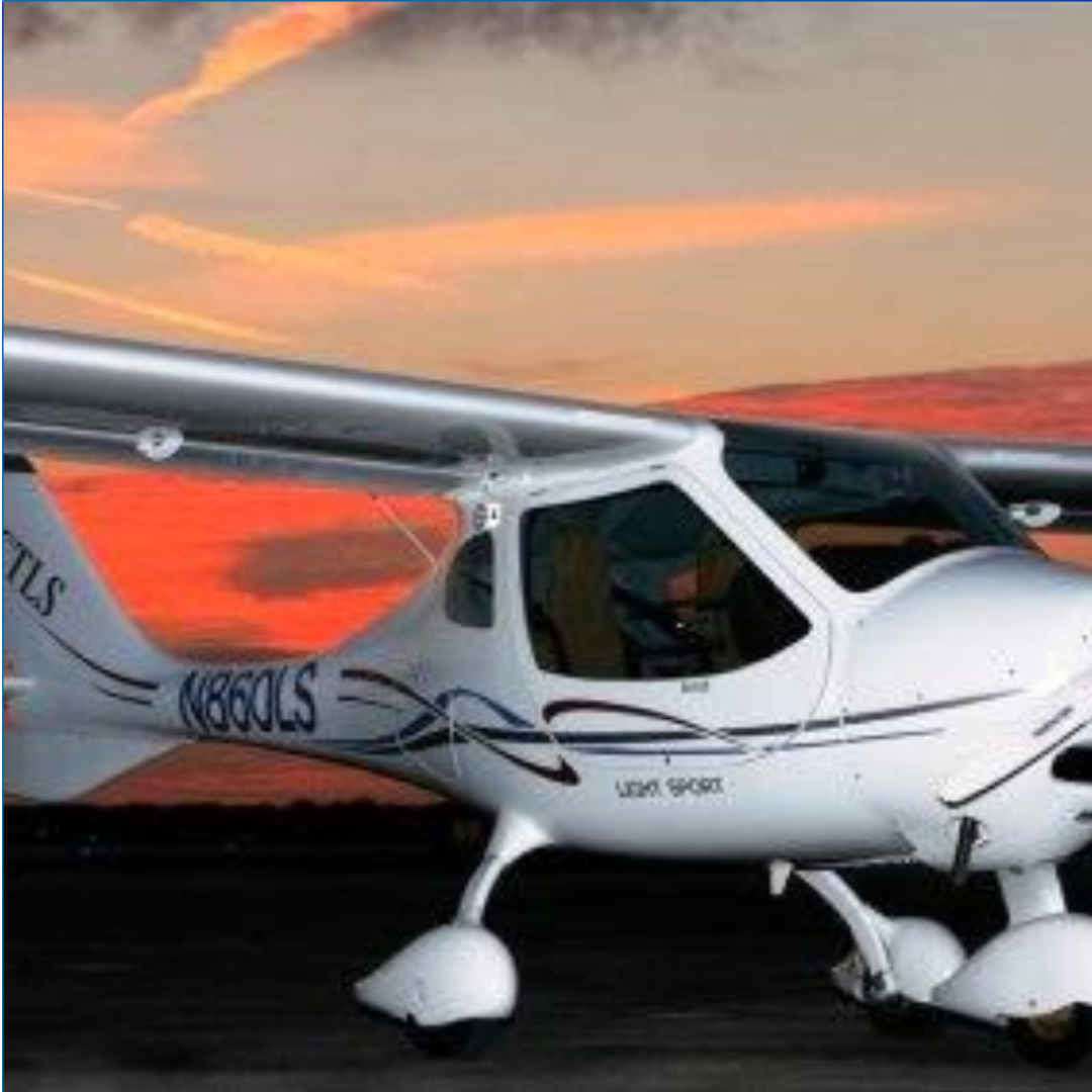Flight Design CTLS Light Sport Aircraft With Factory Hand Controls Flight design ctls light sport aircraft with factory hand controls