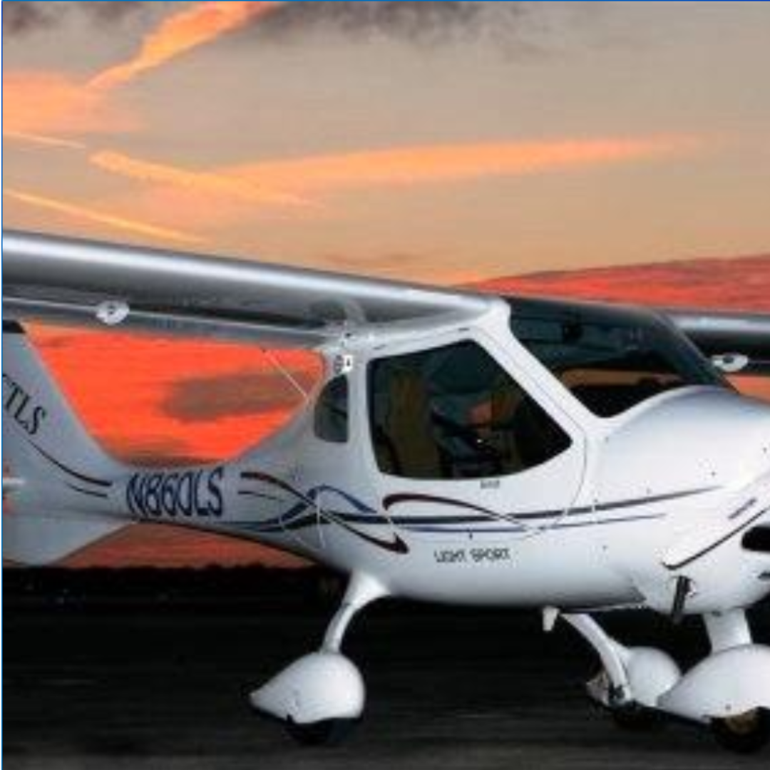 Flight Design CTLS Light Sport Aircraft with Factory Hand Controls