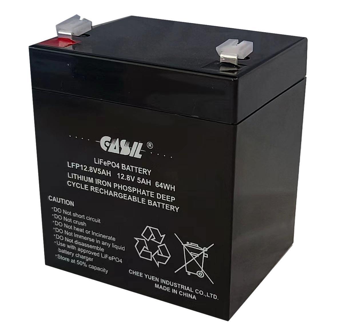 12V 5AH oder 10AH LIFEPO4 Lithium -Batterie, Ladegerät und Kabelbaumkit für Patientendecklifte
