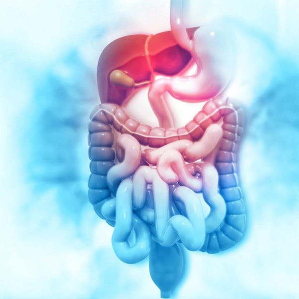 Pulsed Irrigation Evacuation (PIE) for Neurogenic Bowel - Transanal Irrigation (TAI)