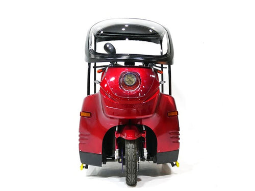 Echariot Electric Rollstuhl moped