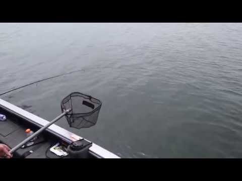 Kit de pêche adaptatif - bobine de pêche à vitesse variable électrique, commandes, batterie au lithium, tige de graphite et plaqueur